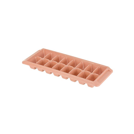 Picture of ICE-CUBE TRAY PLASTIC 16 CASES ROTTEN APPLE